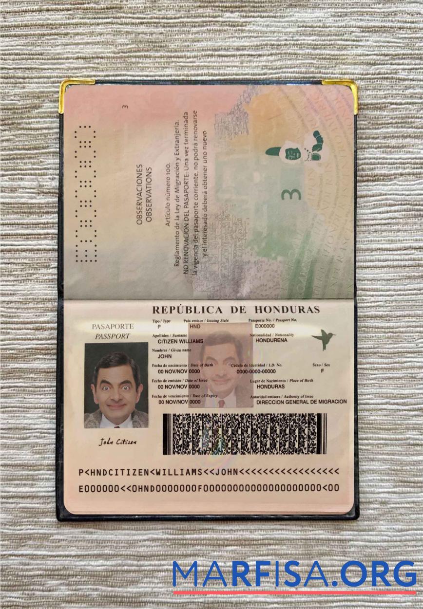 Downloadable Honduras pass photo look sample